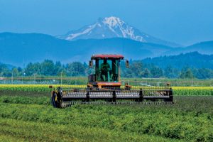 Oregon Agrigulture