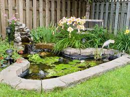 adding a pond to your garden