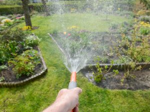 how to water a garden