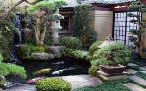 Japanese Water Garden design