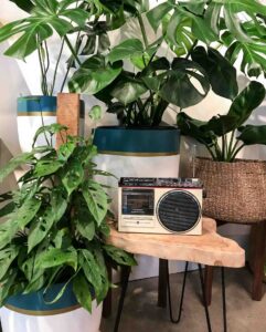plants and music